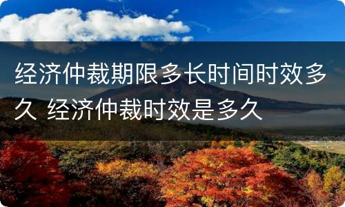 经济仲裁期限多长时间时效多久 经济仲裁时效是多久
