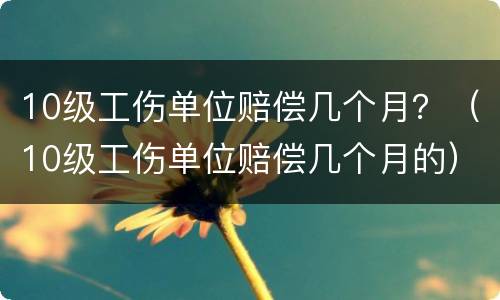 10级工伤单位赔偿几个月？（10级工伤单位赔偿几个月的）