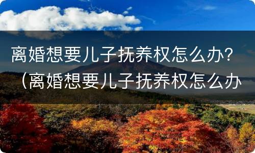 离婚想要儿子抚养权怎么办？（离婚想要儿子抚养权怎么办呢）