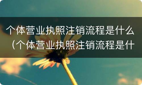 个体营业执照注销流程是什么（个体营业执照注销流程是什么样的）