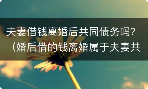 夫妻借钱离婚后共同债务吗？（婚后借的钱离婚属于夫妻共同债务吗）