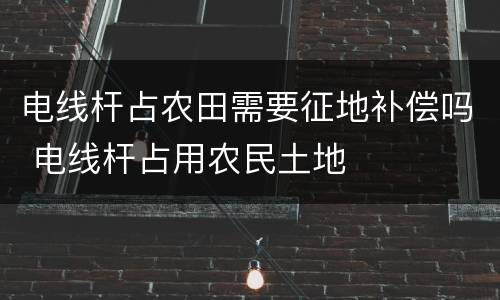 电线杆占农田需要征地补偿吗 电线杆占用农民土地