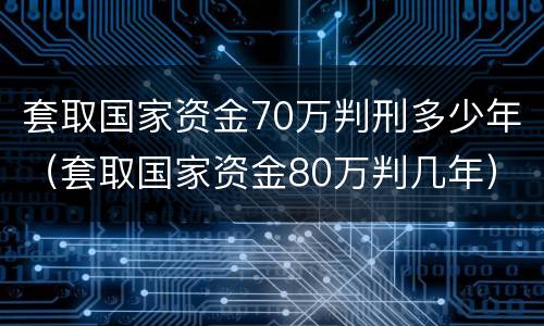 套取国家资金70万判刑多少年（套取国家资金80万判几年）