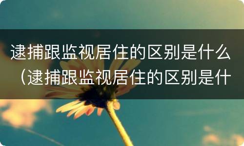 逮捕跟监视居住的区别是什么（逮捕跟监视居住的区别是什么意思）