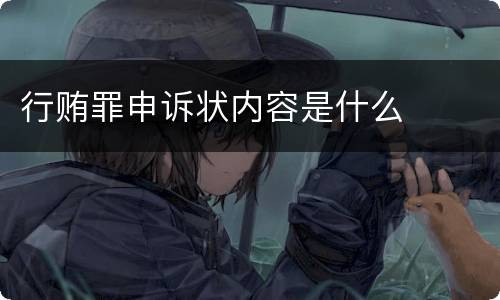 行贿罪申诉状内容是什么