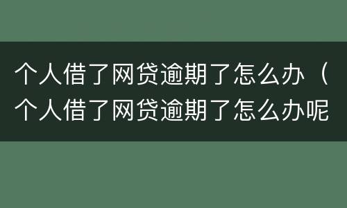 个人借了网贷逾期了怎么办（个人借了网贷逾期了怎么办呢）