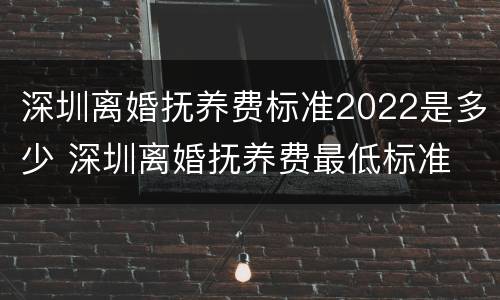深圳离婚抚养费标准2022是多少 深圳离婚抚养费最低标准