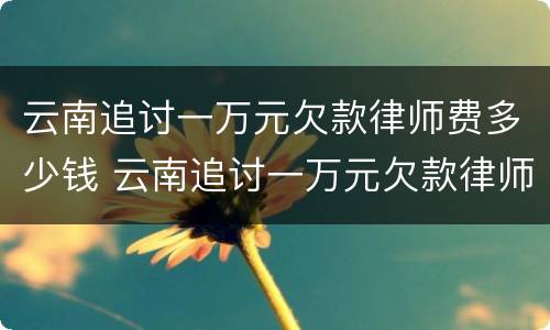 云南追讨一万元欠款律师费多少钱 云南追讨一万元欠款律师费多少钱啊