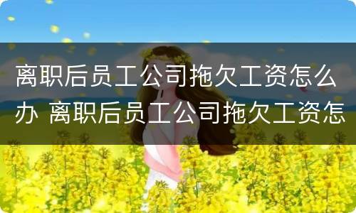 离职后员工公司拖欠工资怎么办 离职后员工公司拖欠工资怎么办理