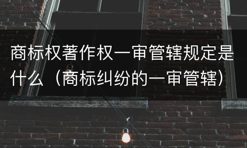 商标权著作权一审管辖规定是什么（商标纠纷的一审管辖）