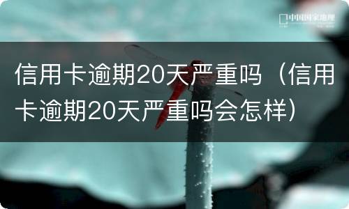 信用卡逾期20天严重吗（信用卡逾期20天严重吗会怎样）