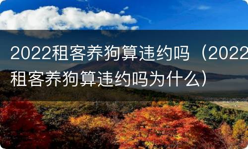 2022租客养狗算违约吗（2022租客养狗算违约吗为什么）