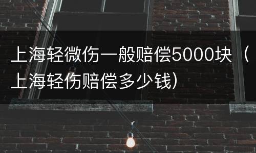 上海轻微伤一般赔偿5000块（上海轻伤赔偿多少钱）