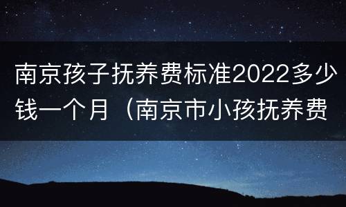南京孩子抚养费标准2022多少钱一个月（南京市小孩抚养费标准）