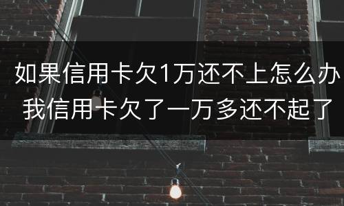 如果信用卡欠1万还不上怎么办 我信用卡欠了一万多还不起了怎么办