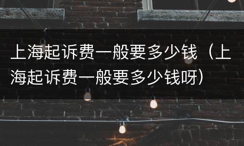 上海起诉费一般要多少钱（上海起诉费一般要多少钱呀）