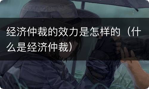 经济仲裁的效力是怎样的（什么是经济仲裁）