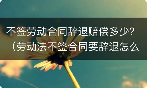 不签劳动合同辞退赔偿多少？（劳动法不签合同要辞退怎么赔偿）