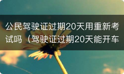 公民驾驶证过期20天用重新考试吗（驾驶证过期20天能开车吗）