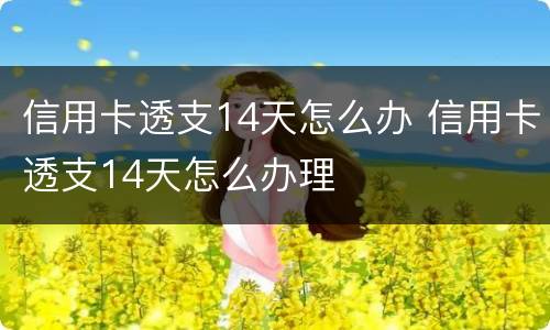信用卡透支14天怎么办 信用卡透支14天怎么办理