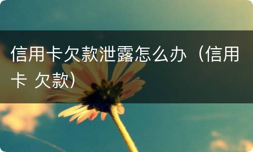 信用卡欠款泄露怎么办（信用卡 欠款）