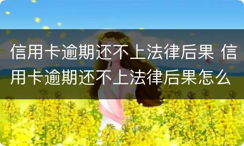 信用卡逾期还不上法律后果 信用卡逾期还不上法律后果怎么样