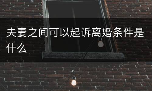 夫妻之间可以起诉离婚条件是什么