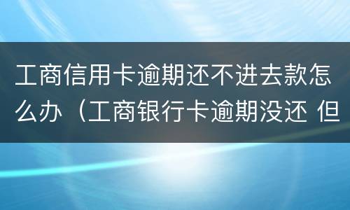 工商信用卡逾期还不进去款怎么办（工商银行卡逾期没还 但是还不进去 怎么还款）