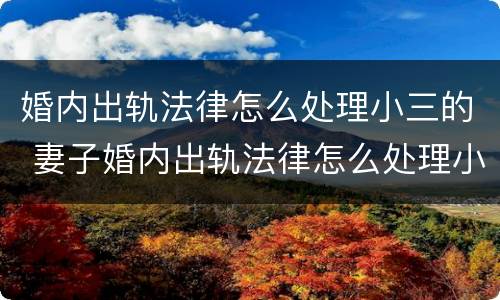 婚内出轨法律怎么处理小三的 妻子婚内出轨法律怎么处理小三