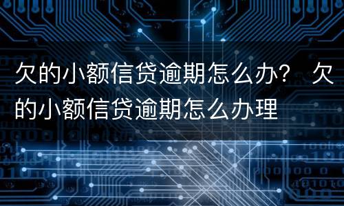 欠的小额信贷逾期怎么办？ 欠的小额信贷逾期怎么办理