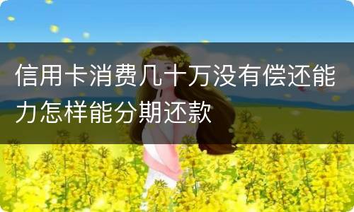信用卡消费几十万没有偿还能力怎样能分期还款