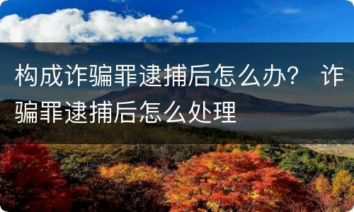 构成诈骗罪逮捕后怎么办？ 诈骗罪逮捕后怎么处理