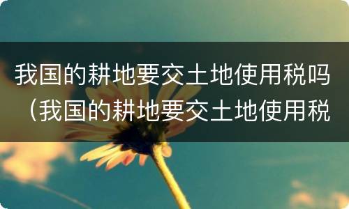 我国的耕地要交土地使用税吗（我国的耕地要交土地使用税吗）