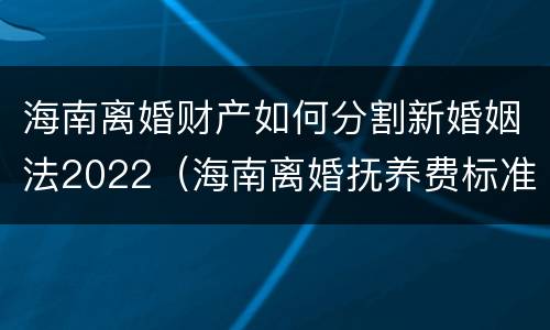 海南离婚财产如何分割新婚姻法2022（海南离婚抚养费标准）