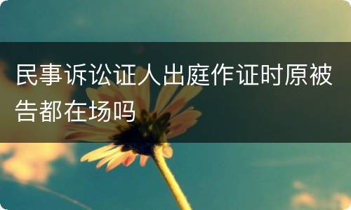 民事诉讼证人出庭作证时原被告都在场吗