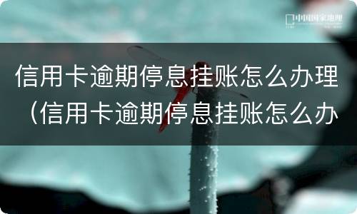 信用卡逾期停息挂账怎么办理（信用卡逾期停息挂账怎么办理的）