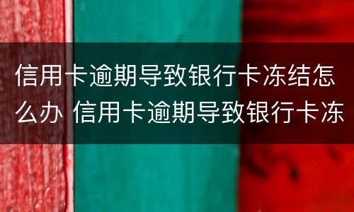 信用卡逾期导致银行卡冻结怎么办 信用卡逾期导致银行卡冻结怎么办理