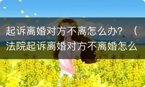 起诉离婚对方不离怎么办？（法院起诉离婚对方不离婚怎么办）