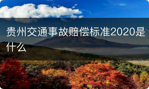 贵州交通事故赔偿标准2020是什么