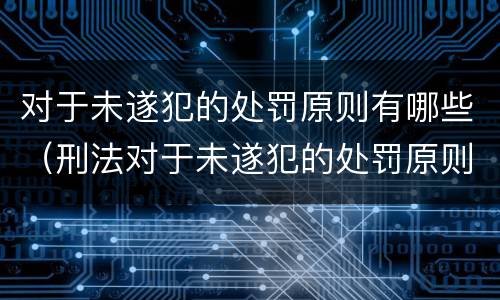 对于未遂犯的处罚原则有哪些（刑法对于未遂犯的处罚原则是什么）