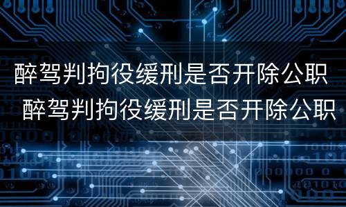 醉驾判拘役缓刑是否开除公职 醉驾判拘役缓刑是否开除公职了