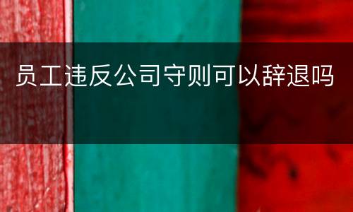 员工违反公司守则可以辞退吗