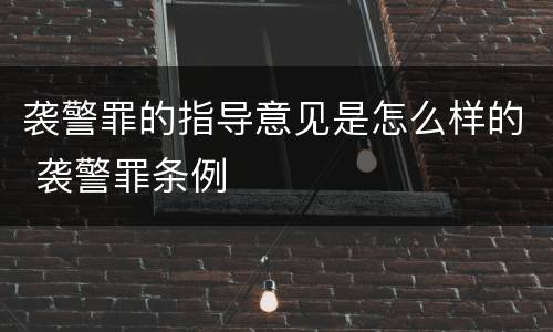 袭警罪的指导意见是怎么样的 袭警罪条例