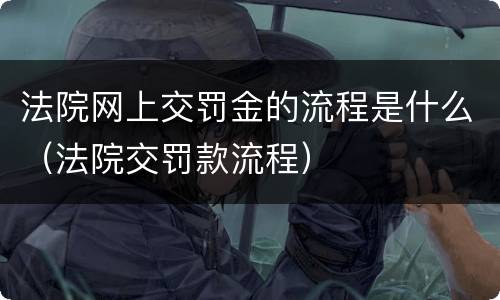 法院网上交罚金的流程是什么（法院交罚款流程）