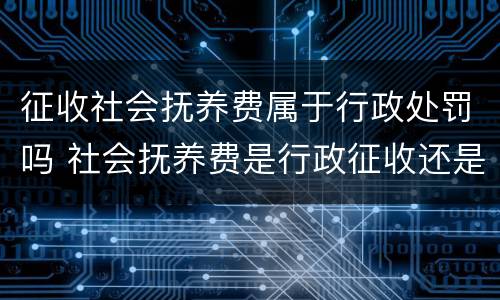 征收社会抚养费属于行政处罚吗 社会抚养费是行政征收还是行政处罚