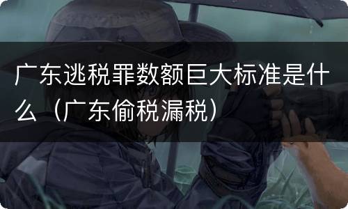 广东逃税罪数额巨大标准是什么（广东偷税漏税）