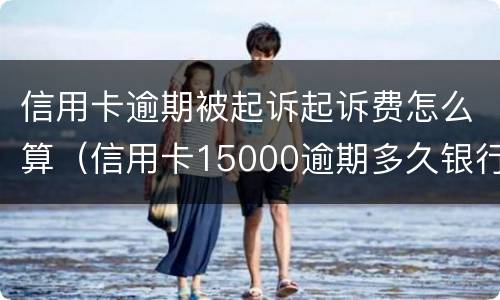 信用卡逾期被起诉起诉费怎么算（信用卡15000逾期多久银行起诉）