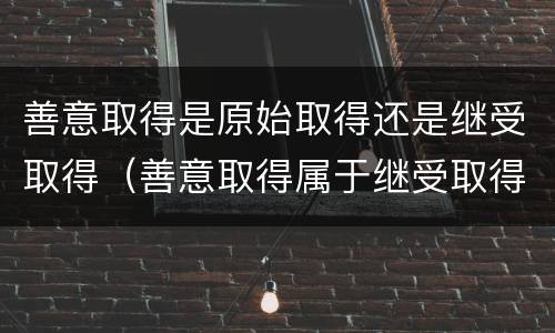 善意取得是原始取得还是继受取得（善意取得属于继受取得还是原始取得）