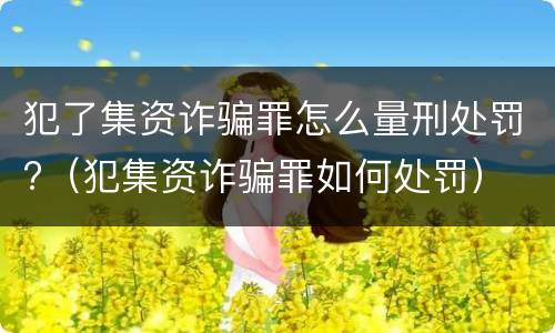 犯了集资诈骗罪怎么量刑处罚?（犯集资诈骗罪如何处罚）