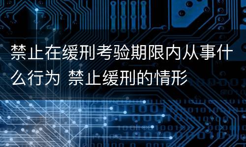 禁止在缓刑考验期限内从事什么行为 禁止缓刑的情形